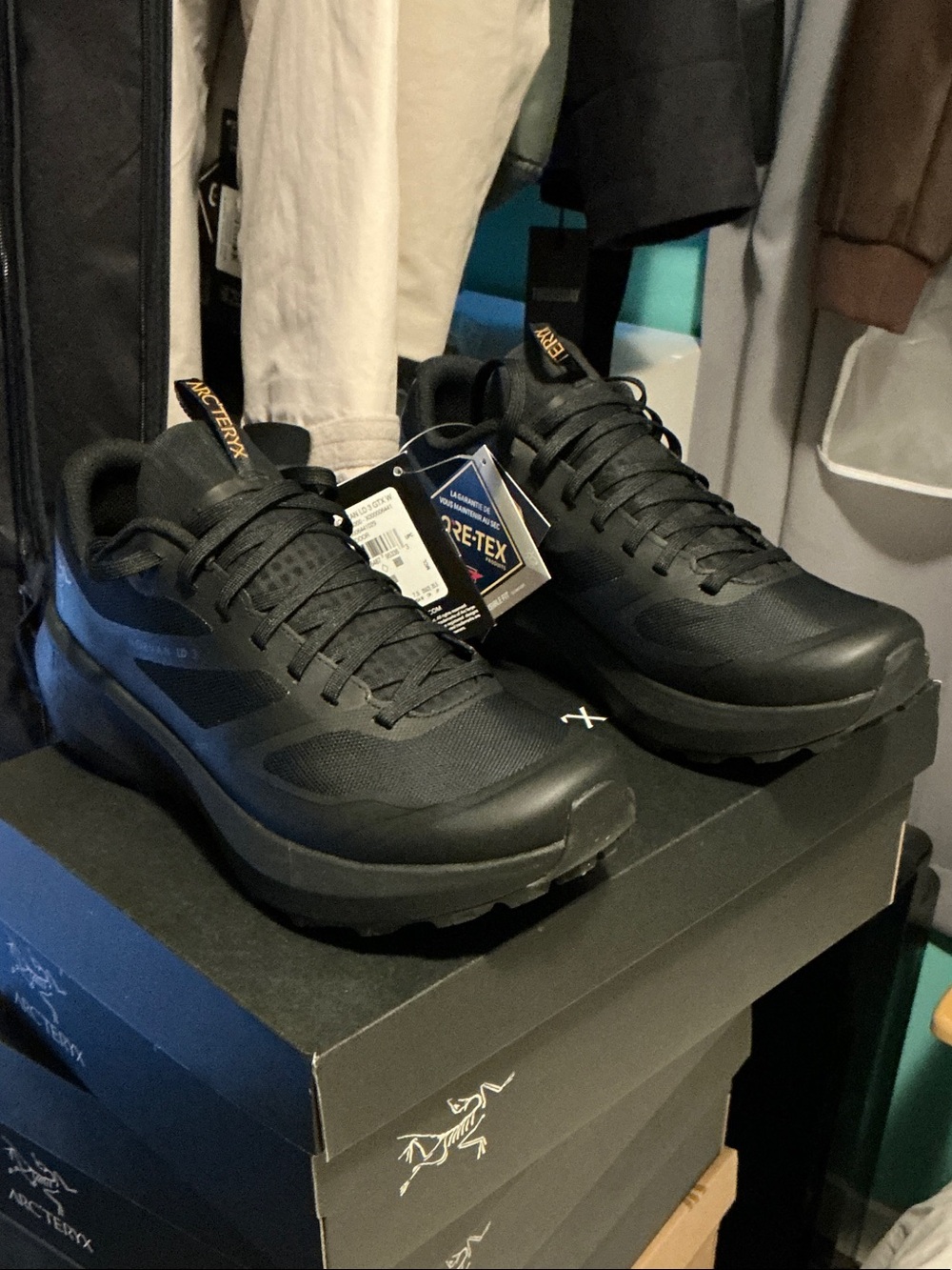 Arc'teryx womens. Norvan LD3 GTX